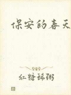 保安的春天