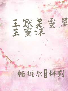 王默是灵犀阁公主灵沫