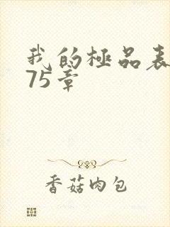 我的极品表嫂第75章