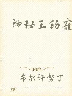 神秘王的宠姬