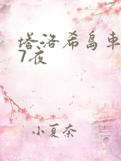 塔洛希岛车7天7夜