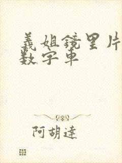 义姐镜里片微博数字车