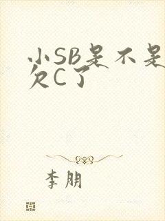 小SB是不是又欠C了
