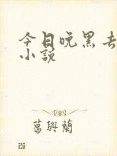 今日晚黑去见你小说