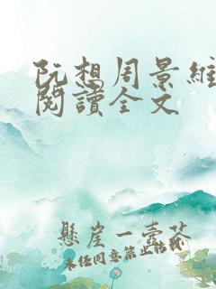 阮想周景维免费阅读全文