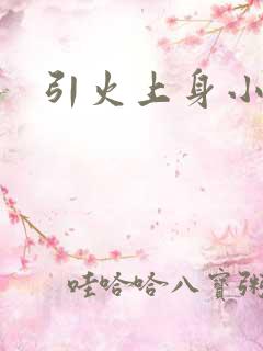 引火上身小说
