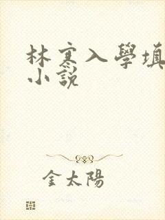 林寒入学填未婚小说