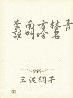 李南方林青青小说叫啥名