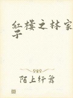 红楼之林家庶长子