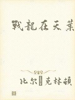 战龙在天叶凡