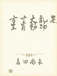 方寸大乱是什么生肖动物