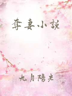 夺妻小说