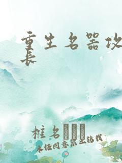 重生名器攻略兄长
