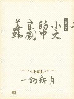 善良的小峓子2韩剧中文