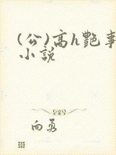 (公)高h艳事小说