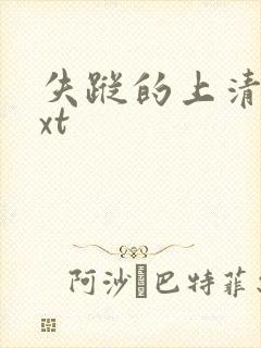 失踪的上清寺txt