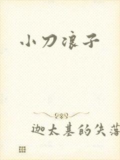 小刀浪子