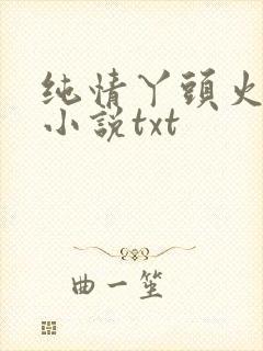 纯情丫头火辣辣小说txt