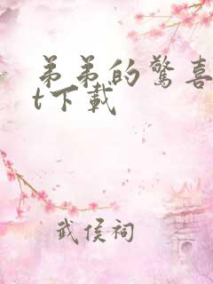 弟弟的惊喜txt下载