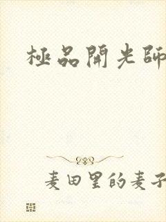 极品开光师阅读