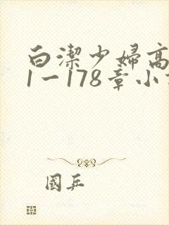 白洁少妇高义第1一178章小说