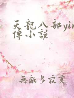 天龙八部yin传小说