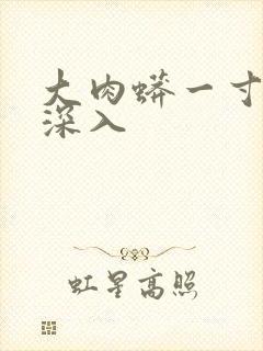 大肉蟒一寸寸地深入