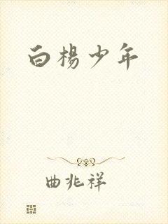 白杨少年