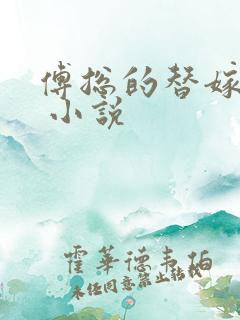 傅总的替嫁娇妻 小说