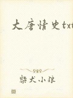 大唐情史txt