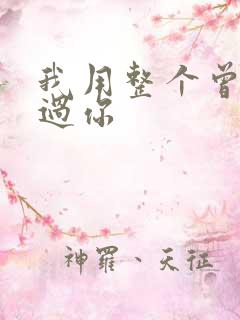 我用整个曾经爱过你