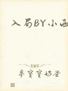 入局BY小西