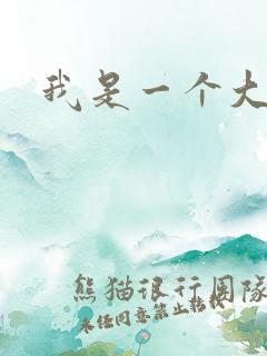 我是一个大盗贼