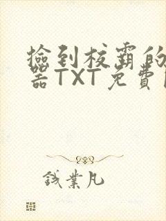 捡到校霸的遥控器TXT免费阅读