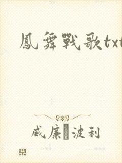 凤舞战歌txt