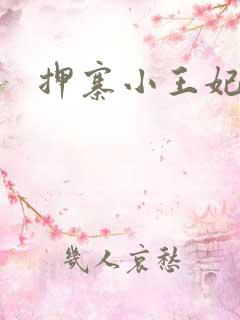 押寨小王妃
