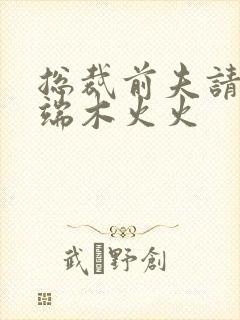 总裁前夫请自重端木火火