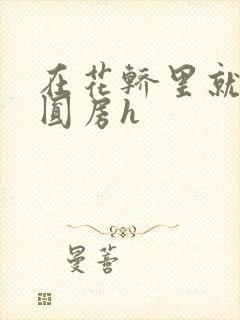 在花轿里就开始圆房h