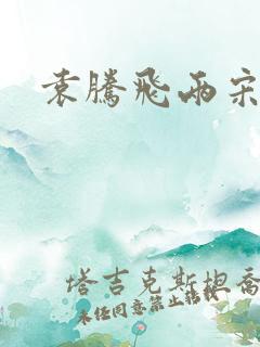 袁腾飞两宋风云