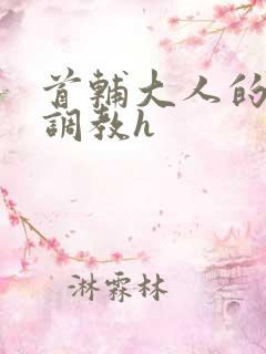 首辅大人的花式调教h