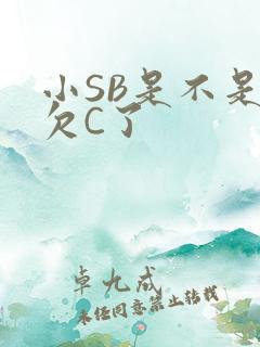 小SB是不是又欠C了