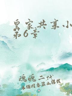 皇家共享小公主第6章