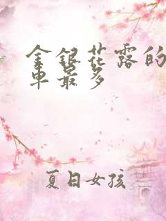 金银花露的哪个车最多