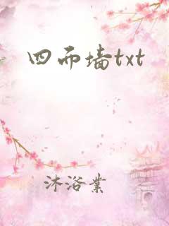 四面墙txt