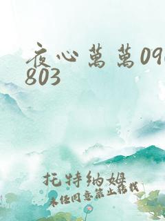 夜心万万090803