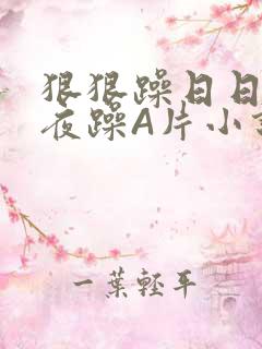 狠狠躁日日躁夜夜躁A片小说