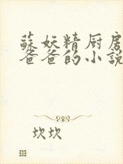 苏妖精厨房爹爹爸爸的小说