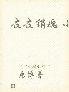 夜夜销魂 小说