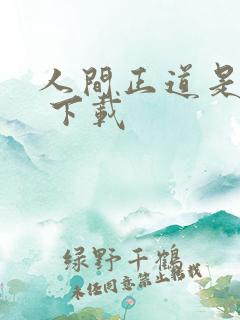 人间正道是沧桑 下载