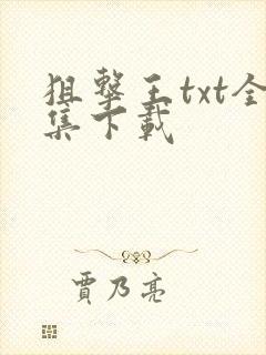 狙击王txt全集下载